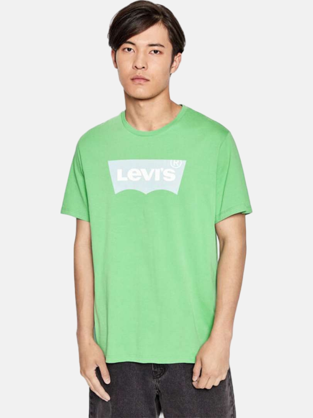 TSHIRT LEVI´S GRAPHIC CREWNECK WSSNL/PEPP