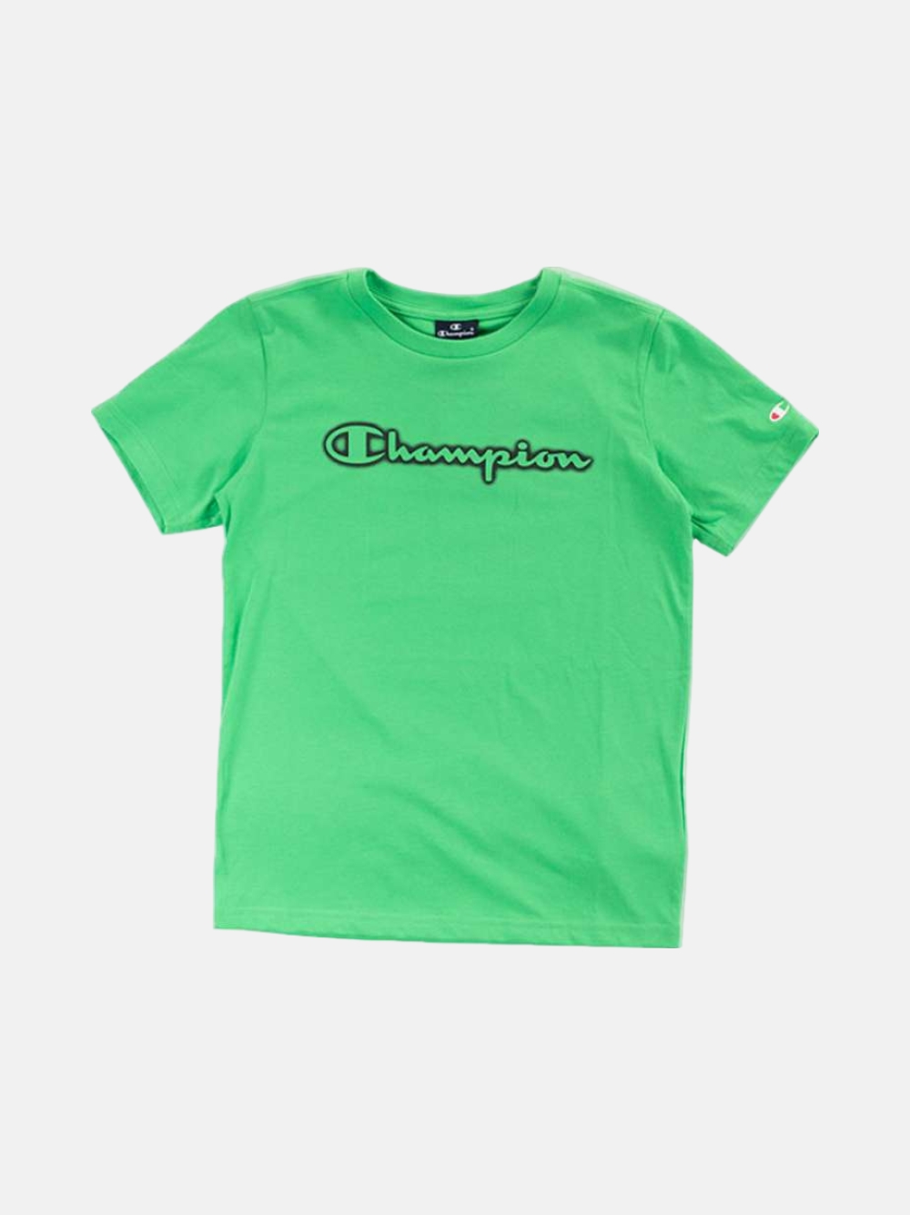 TSHIRT CHAMPION 306332-GF003