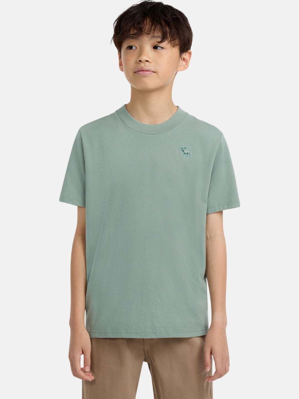 TSHIRT ABERCROMBIE