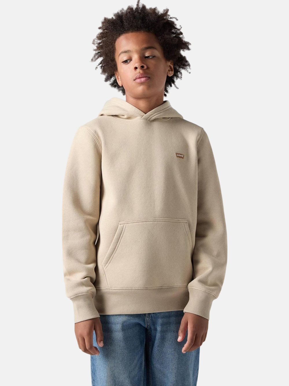 HOODIE LEVIS LVB MINI BATWING