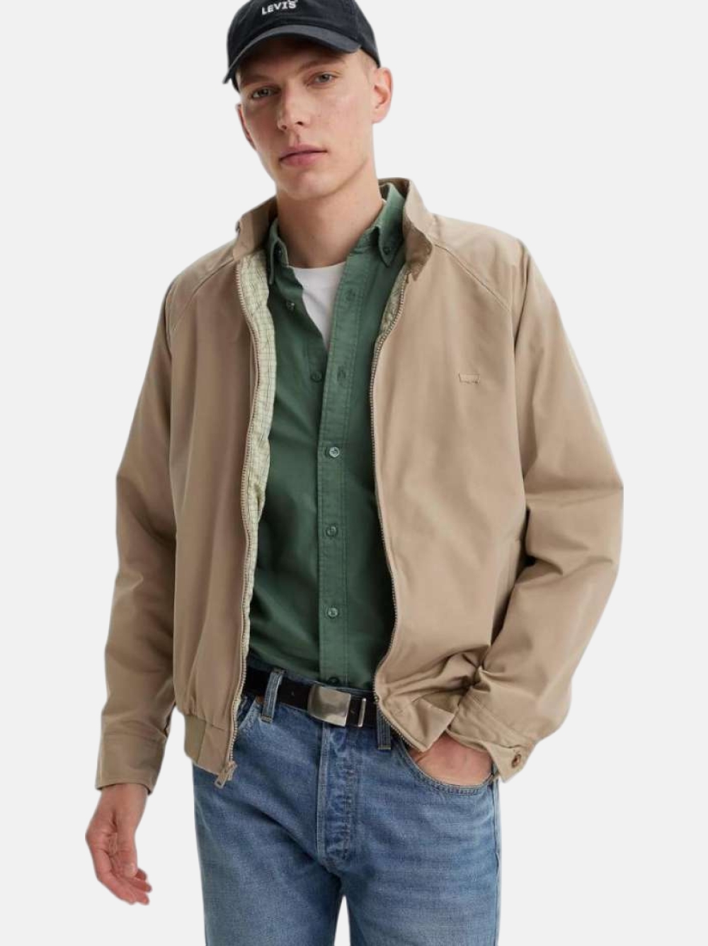 CASACO LEVIS BAKER HARRINGTON TRUE CHINO