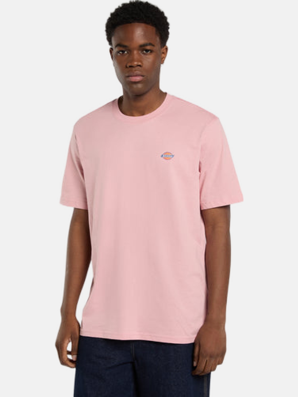 TSHIRT DICKIES MAPLETON