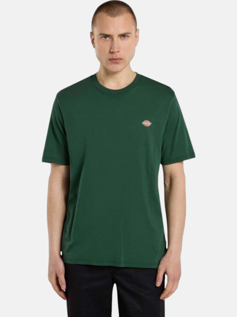 TSHIRT DICKIES MAPLETON