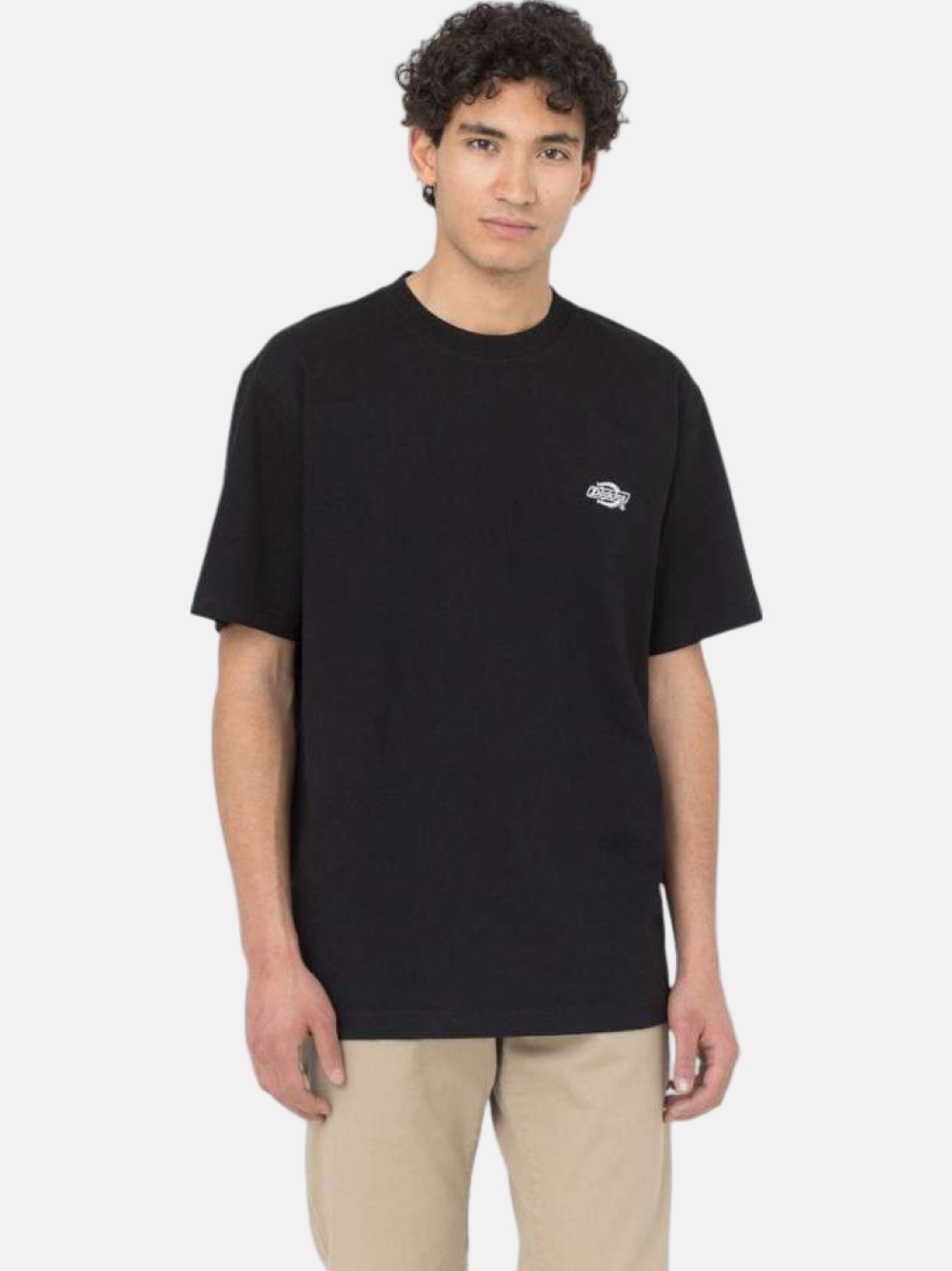 TSHIRT DICKIES SUMMERDALE