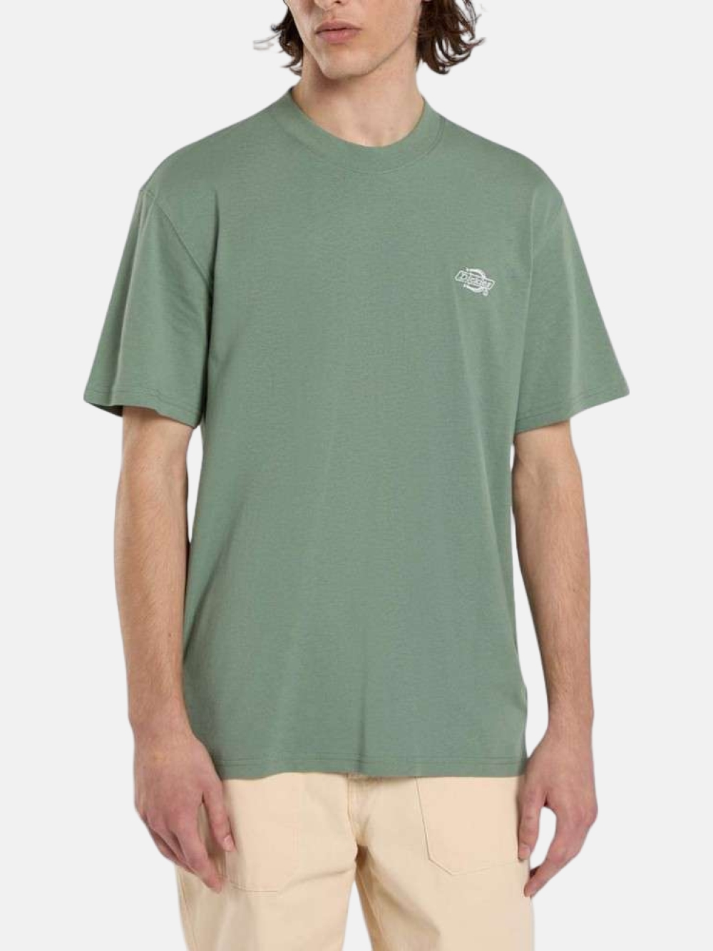 TSHIRT DICKIES SUMMERDALE