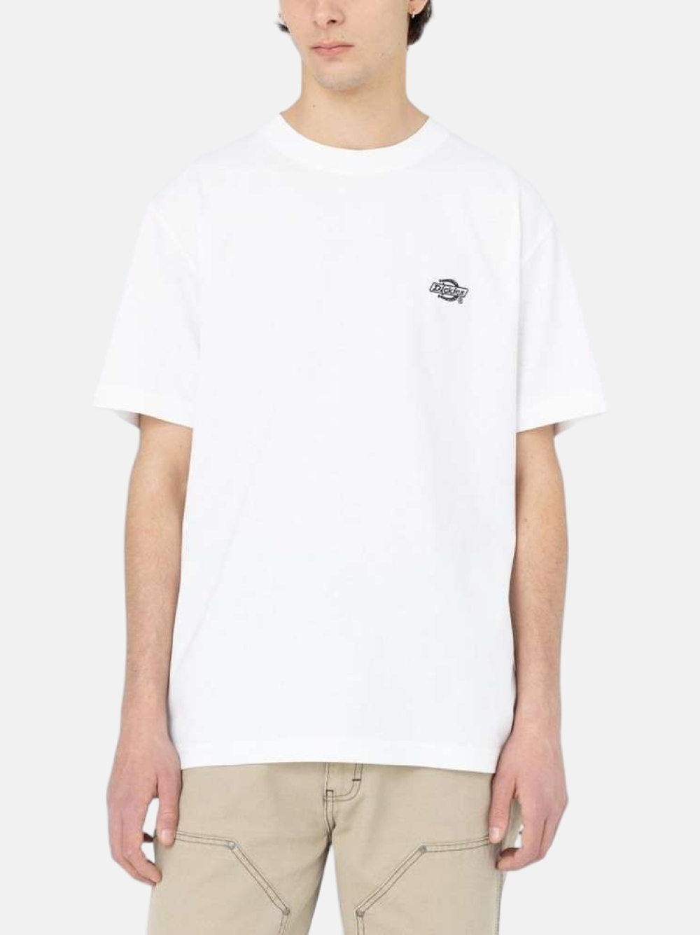 TSHIRT DICKIES SUMMERDALE