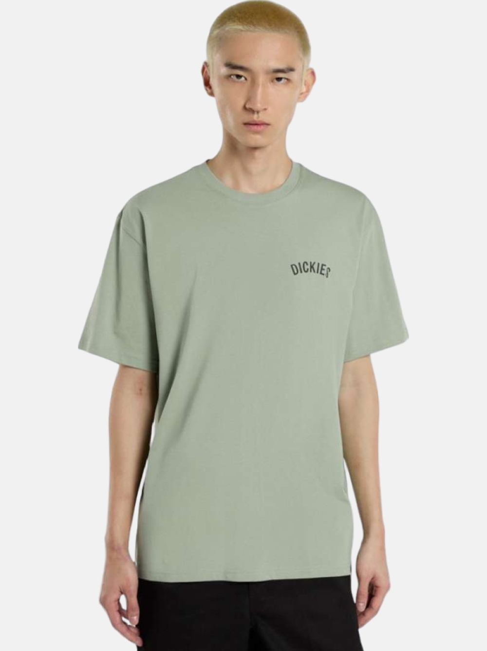 TSHIRT DICKIES SNAKE GREEN