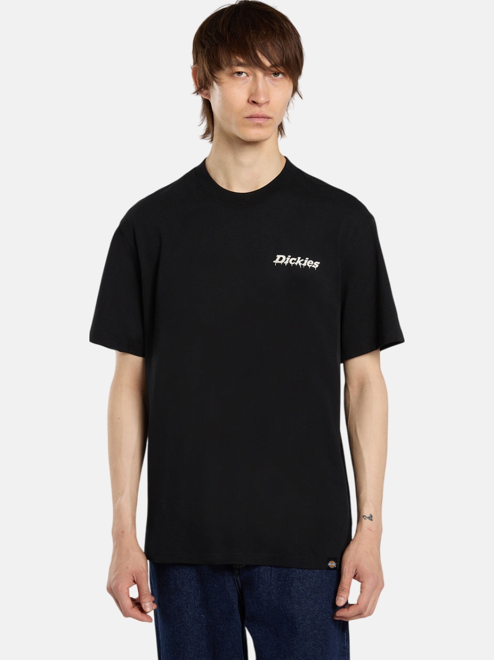 TSHIRT DICKIES STATESVILLE