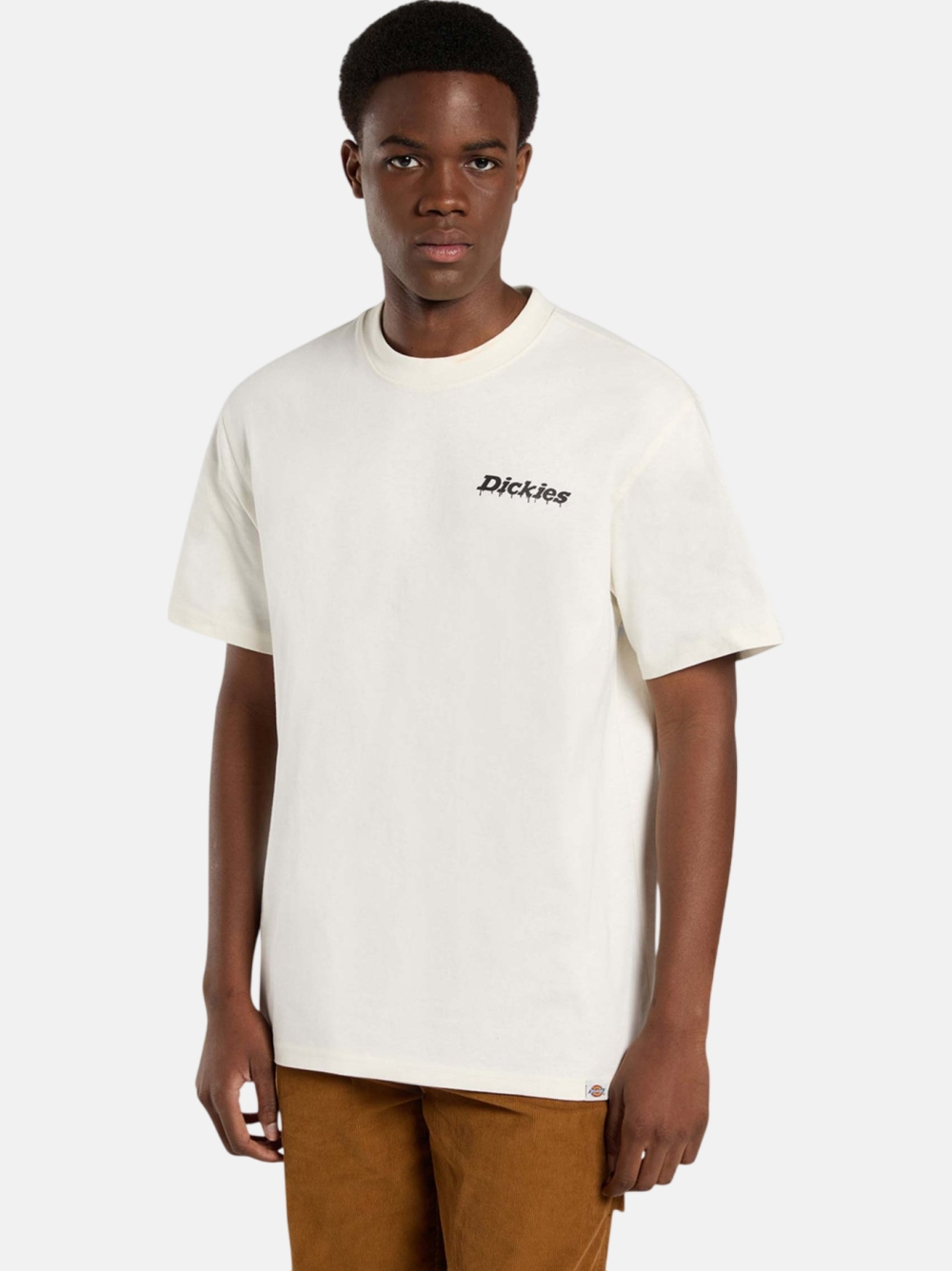 TSHIRT DICKIES STATESVILLE
