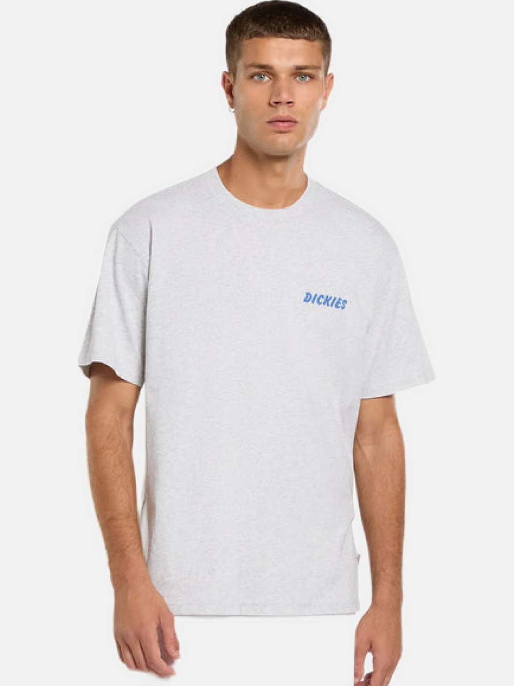 TSHIRT DICKIES DRY RIDGE