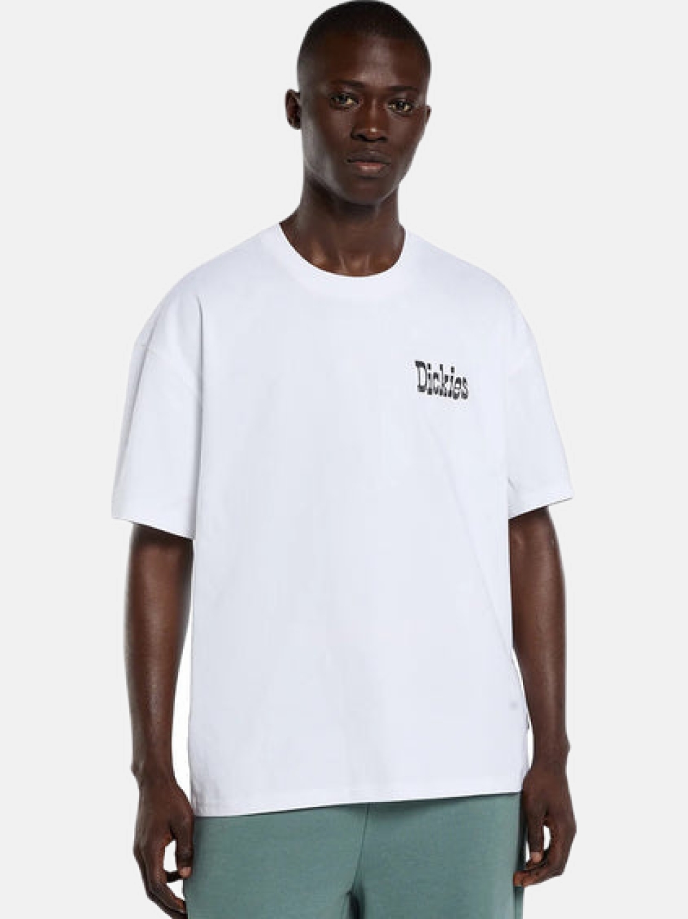 TSHIRT DICKIES POLK