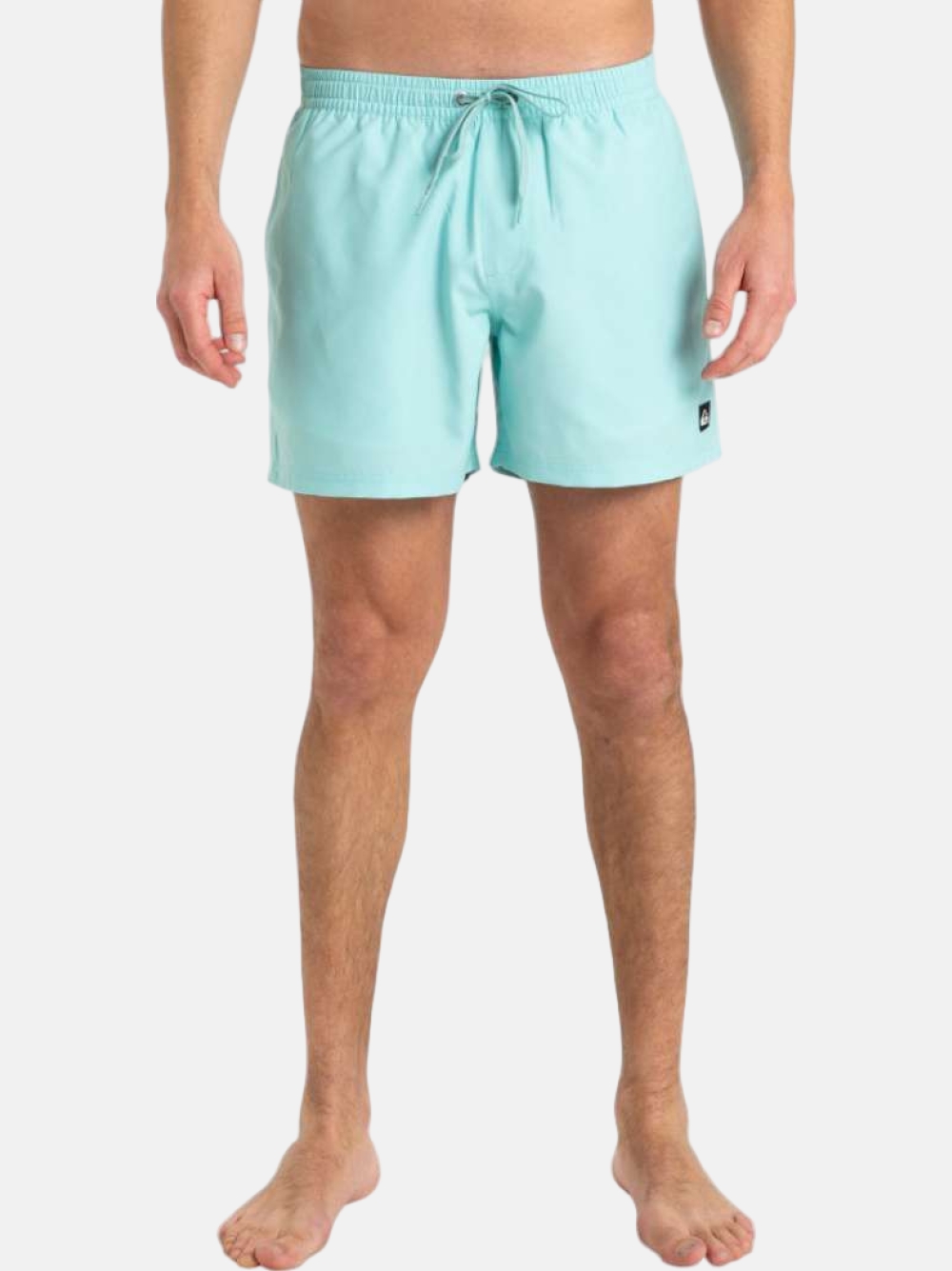 CALÇÕES DE BANHO QUIKSILVER EVERDAY