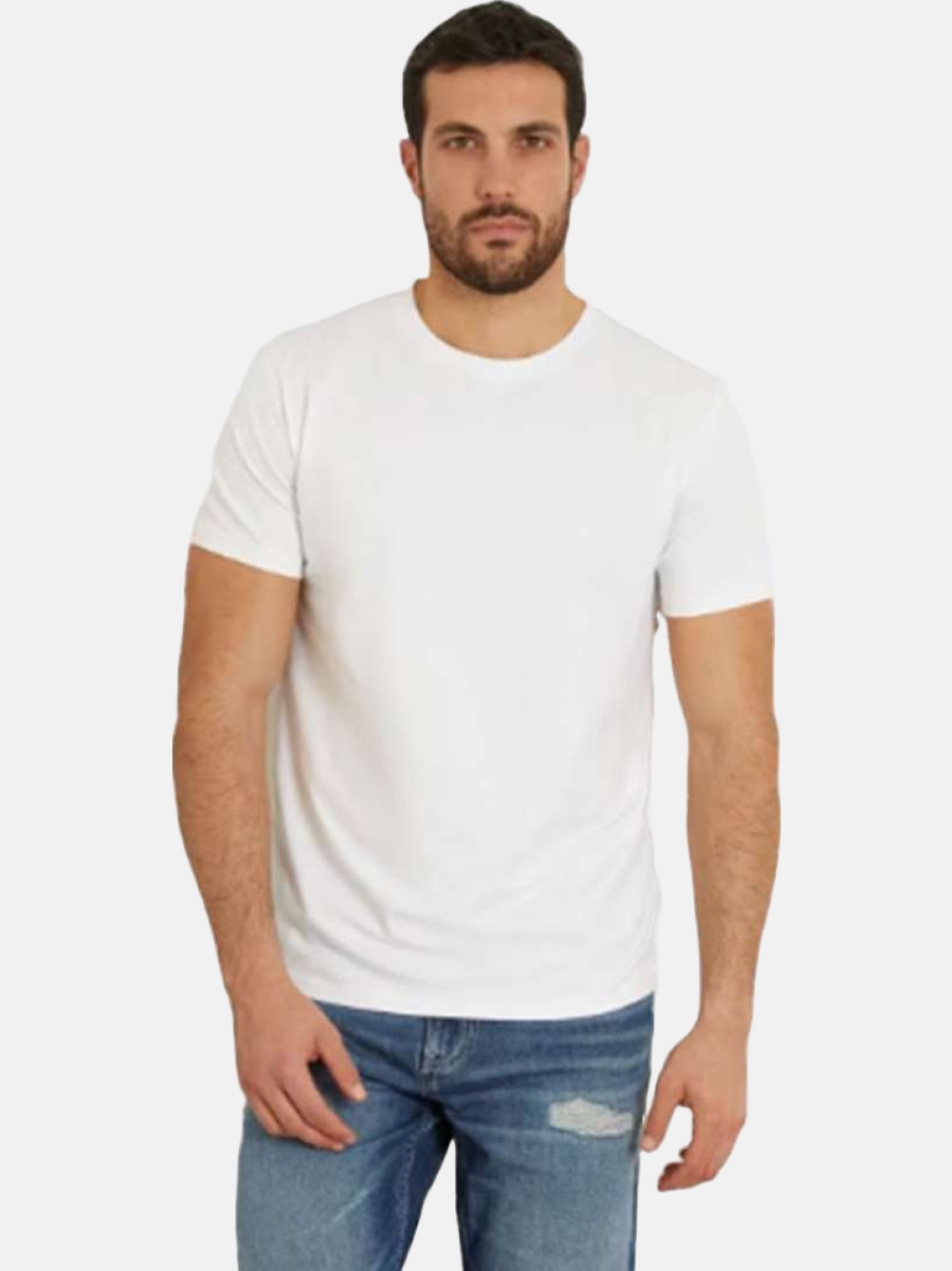 TSHIRT GUESS BASIC PIMA G011