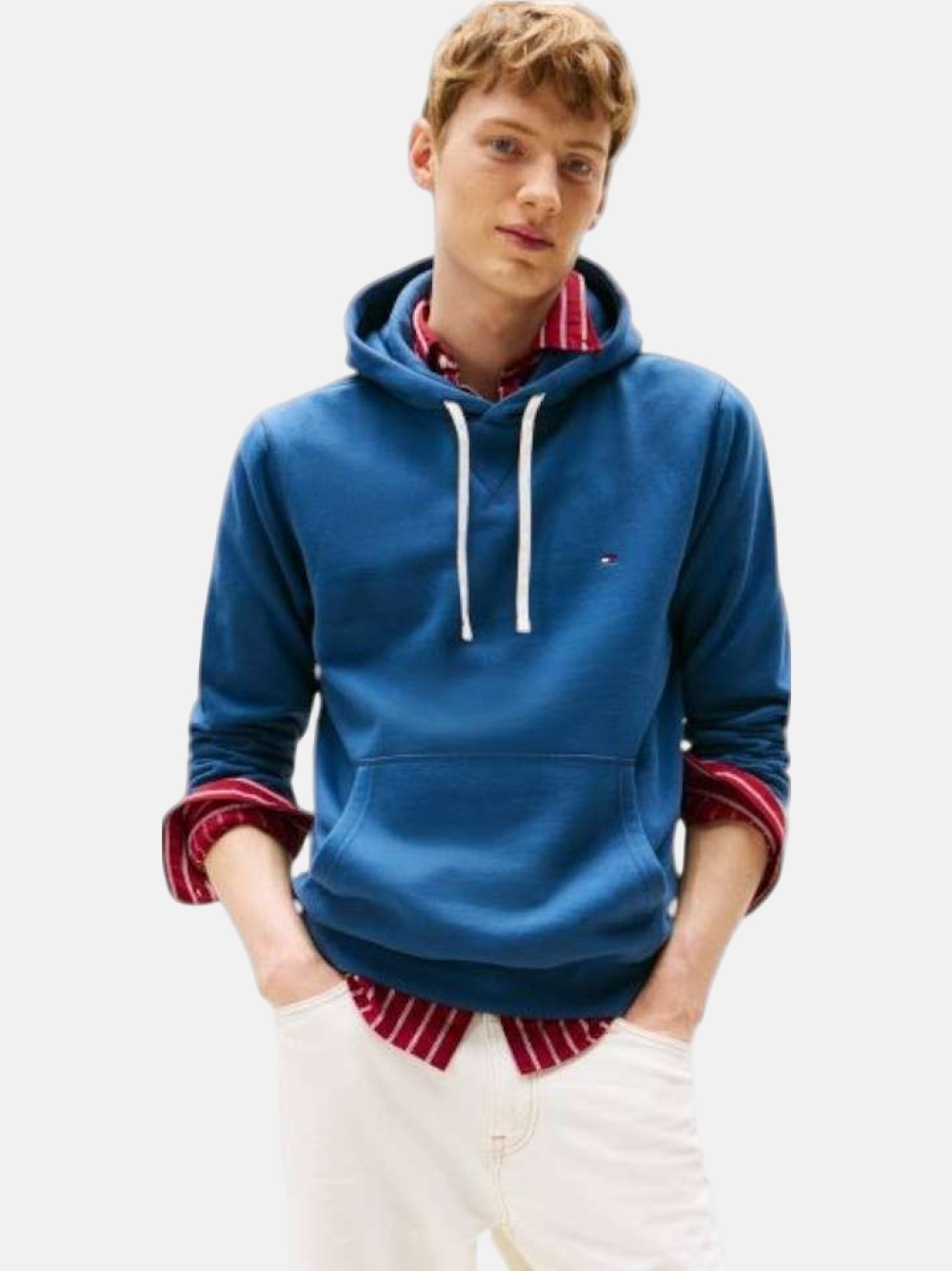 HOODIE TOMMY HILFIGER ESS SEASONAL