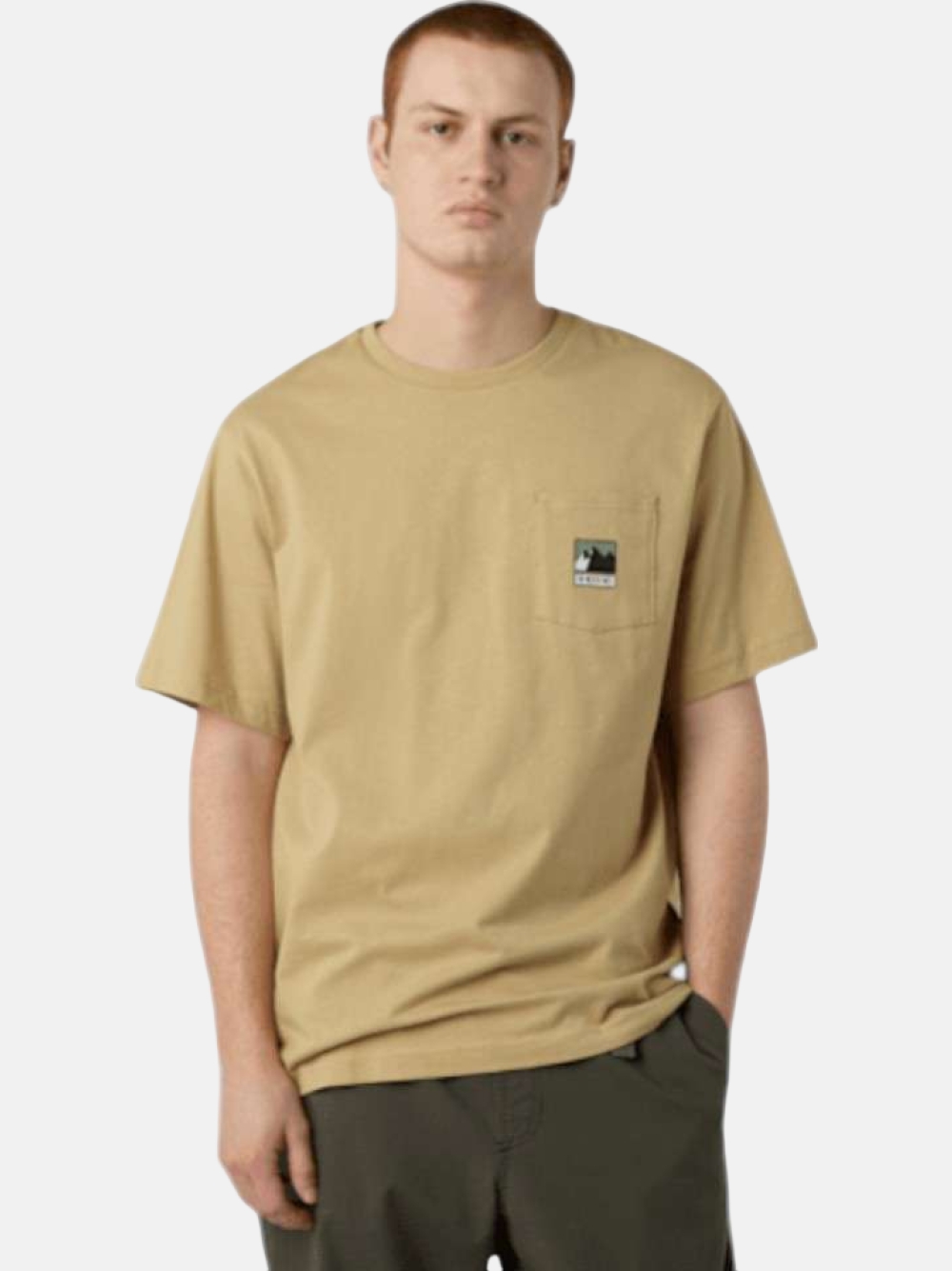 TSHIRT THE NORTH FACE MOUNTAIN LOGO KHAKI STONE