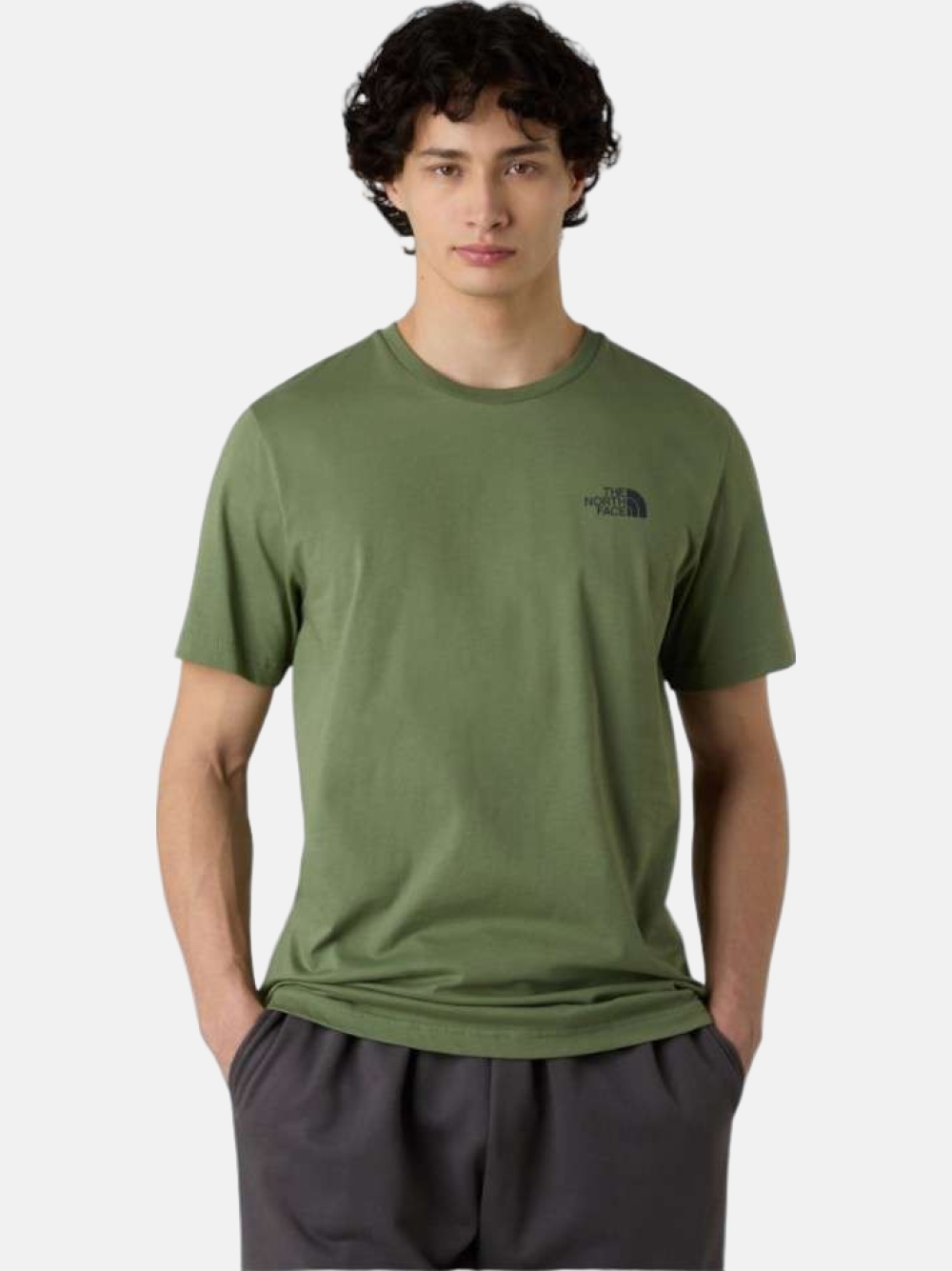 TSHIRT THE NORTH FACE MOUNTAIN SKETCH BARK MIST