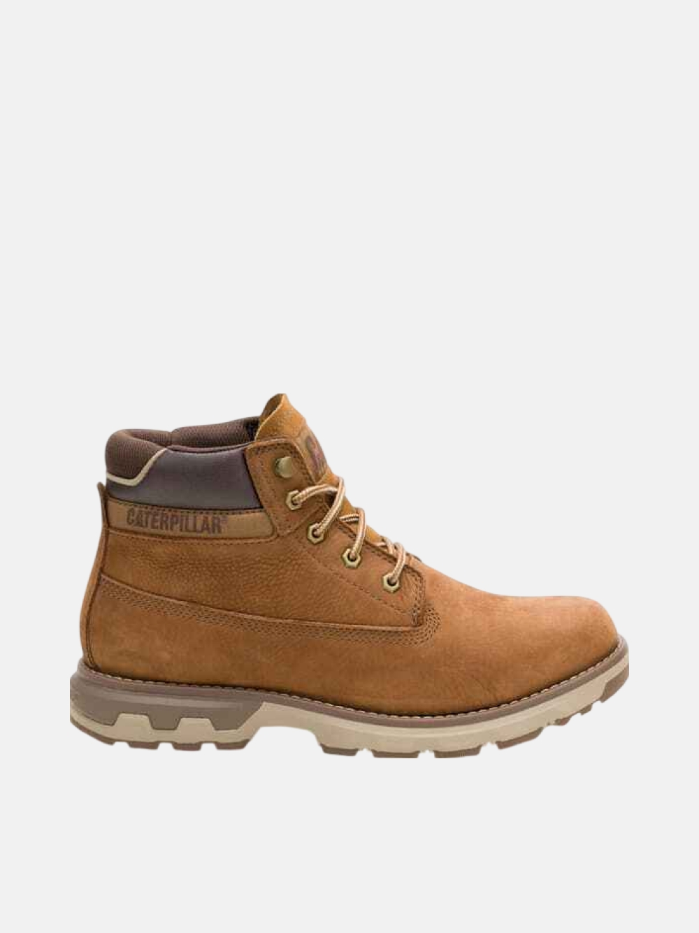 264W25 BOTAS CAT PURSUE                                     